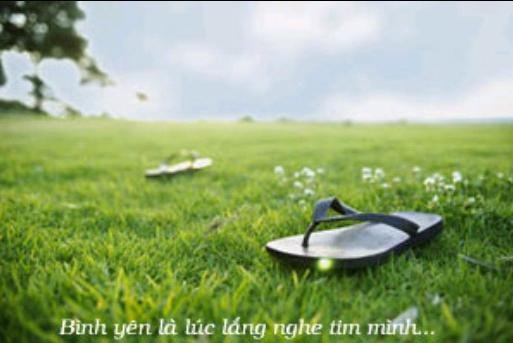 Đôi dép (Thơ tình)