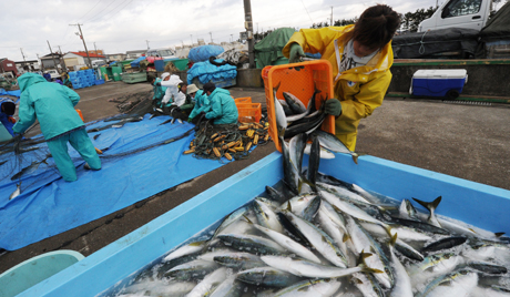 Nga và Việt Nam đã ký biên bản ghi nhớ về hợp tác trong lĩnh vực buôn bán cá và hải sản