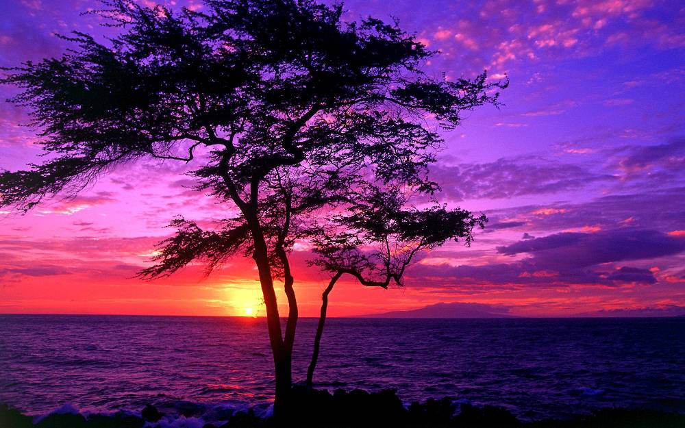 Thiên nhiên hùng vĩ - Phần 10