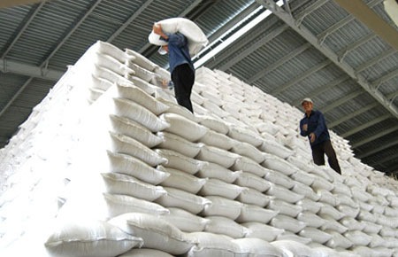 “Việt Nam có nguy cơ mất ngôi á quân xuất khẩu gạo”