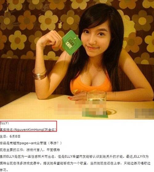 Elly Trần bị đưa lên web môi giới hôn nhân
