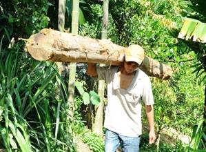 Lao động khốn đốn vì bị trục xuất