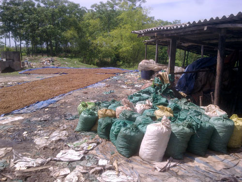 Đột nhập lò chế ô mai bẩn hơn rác sông Tô Lịch