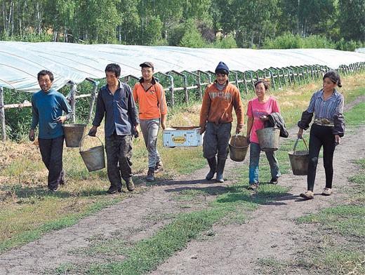Nga: Cấm người Trung Quốc làm nông nghiệp ở tỉnh Amur