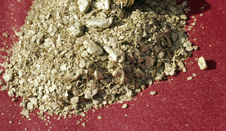 Công ty Trung Quốc Kingwell sẽ khai thác vàng tại khu vực Amur