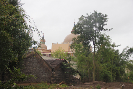 Trầm Bê mất trộm sừng tê giác bạc tỷ, xã nghèo chấn động