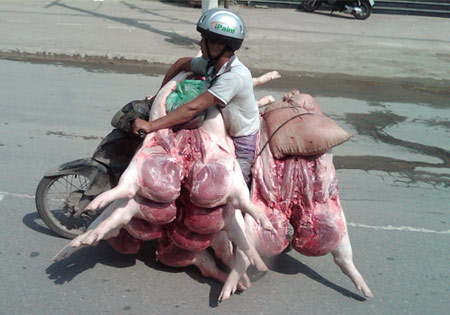 Phong cách Giao thông chỉ có ở Việt Nam