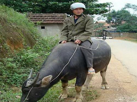 Những hình ảnh độc chỉ có ở Việt Nam - Phần 4