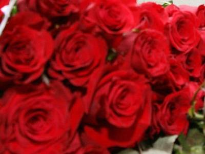 1 triệu bông hồng tặng vợ ngày 8-3