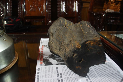 “Khúc gỗ” kỳ lạ ở Quảng Trị