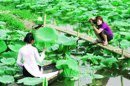 Giới trẻ Hà thành nô nức tạo dáng bên sen Hồ Tây
