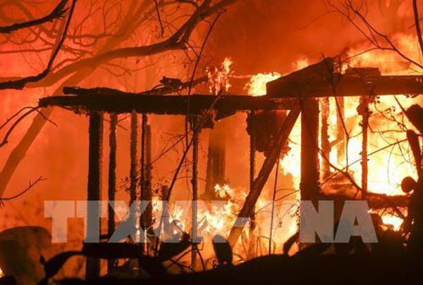 ĐSQ Việt Nam tại Mỹ thông tin về tình hình người Việt trong vụ cháy rừng tại California
