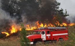 Nga: cháy rừng lan rộng tại Sibêri
