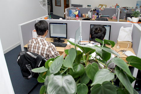 Đừng mong trồng cây trong nhà để loại hết khí độc!