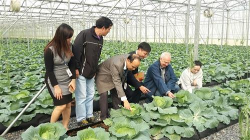 Đại sứ Liên bang Nga thăm tập đoàn TH