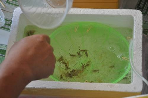 Tô mỳ Quảng giá 2 triệu đồng có gì?