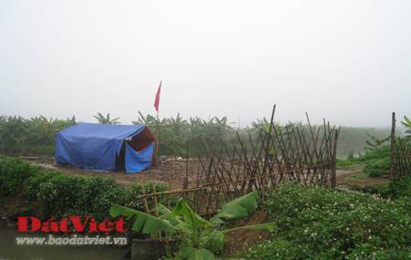 Chuyện chưa kể ở Tiên Lãng