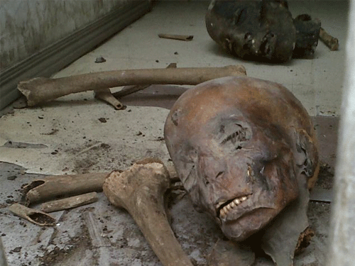 Thuốc từ mồ hôi, máu, não, gan người chữa bách bệnh!