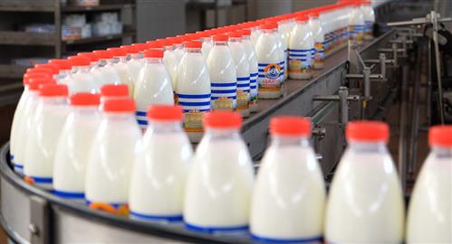Sự thật về sữa ở Nga: Sữa ngon không cạn đi cũng không đắt hơn