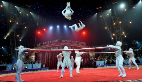 Nghệ sỹ xiếc Việt Nam, Nhật Bản và Trung Quốc mang gấu Nga về nước