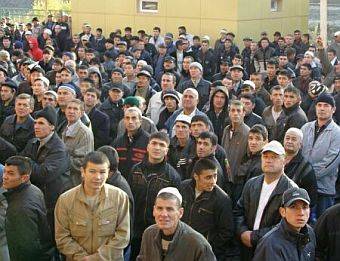 Tăng hạn ngạch cho lao động nhập cư trong năm 2012