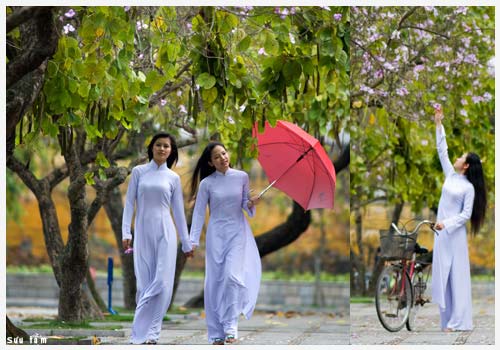 Gửi trường xưa