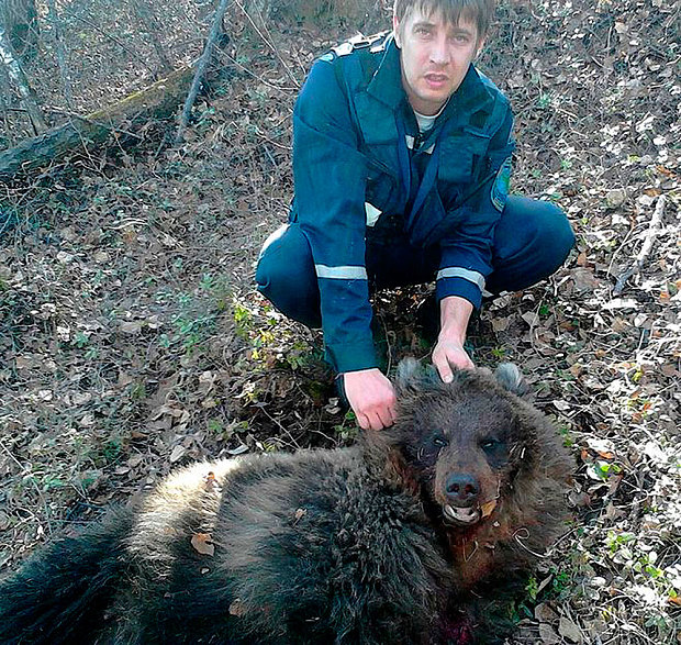 Người phụ nữ Nga bị gấu tấn công, chôn sống