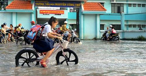 Người Việt cố giàu lên, để làm gì?