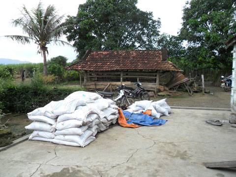 Nông dân kể chuyện đào trúng hơn 35 lượng vàng