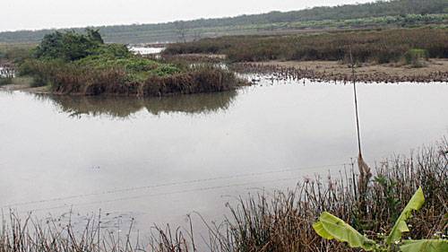 Hôm nay, Tòa án Hải Phòng kiểm điểm trách nhiệm vụ Tiên Lãng