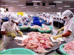 Mỹ, EU, Nga, Nhật... thanh tra thủy sản Việt Nam