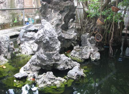 Ly kỳ cây 'sanh vàng' 14 tỷ của Ngô Đình Cẩn