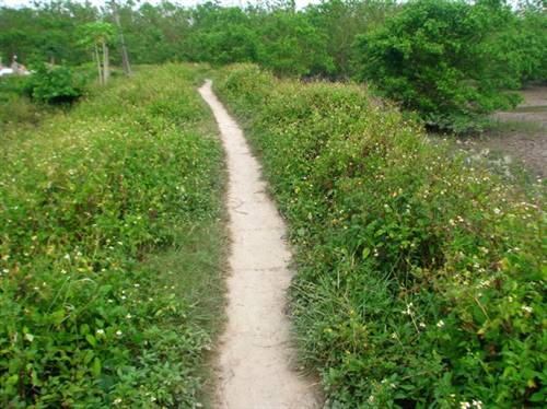 Những hình ảnh mới nhất về cuộc sống vợ con ông Đoàn Văn Vươn