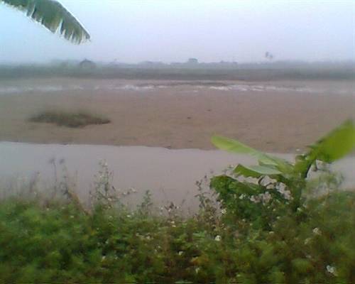 Thuỷ sản tại đầm của Đoàn Văn Vươn bị vơ vét?