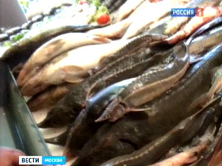 Moskva: Kiểm tra chợ Dorogomilovsky, hàng tấn hải sản đắt tiền bị thu giữ