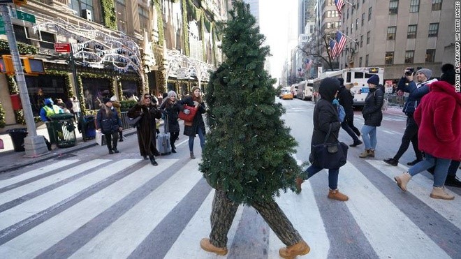 Người đàn ông hóa trang thành cây thông suốt 5 năm tại New York