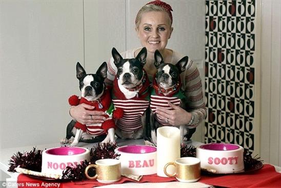 Chi hàng trăm triệu sắm đồ Giáng sinh hoành tráng cho thú cưng