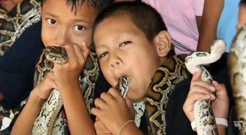 Bí ẩn ngôi làng, nơi người và rắn hổ mang là 'bạn thân' ở Thái Lan