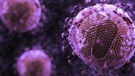 Nghiên cứu mới sử dụng kháng thể điều trị thành công HIV