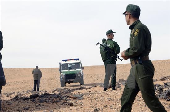 Algeria ngăn chặn kịp thời 2 âm mưu khủng bố bằng bom tự tạo