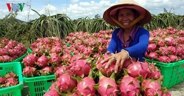 Trung Quốc dẫn đầu các thị trường nhập khẩu rau quả Việt Nam