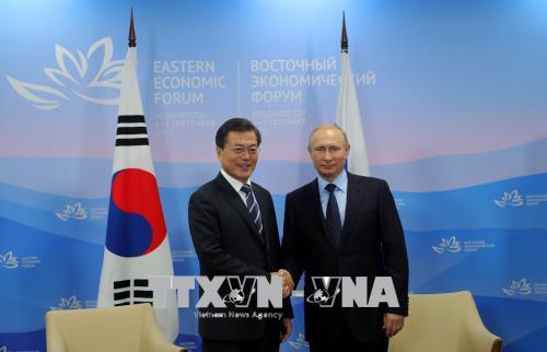 Lãnh đạo Nga, Hàn Quốc cam kết nỗ lực xúc tiến đàm phán FTA