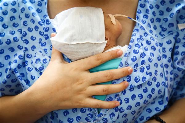 Những em bé Kangaroo và điều kỳ diệu trong chiếc túi của mẹ