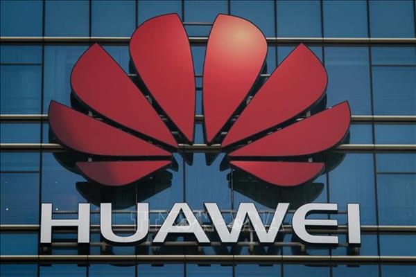 Doanh nghiệp châu Âu 'tiến thoái lưỡng nam' với mạng 5G của Huawei