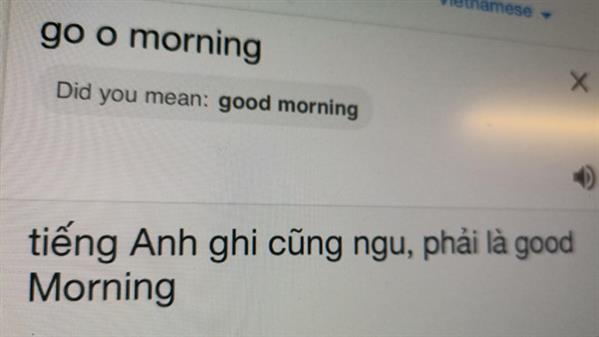 Google Dịch tiếng Việt đang bị phá hoại