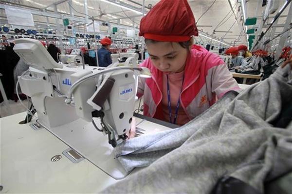 Doanh nghiệp Việt-Nga đặt mục tiêu trao đổi thương mại 10 tỷ USD