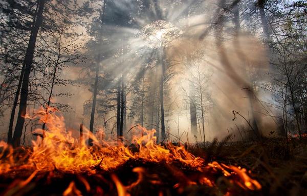 Tổng thống Vladimir Putin huy động quân đội chữa cháy rừng tại Siberia