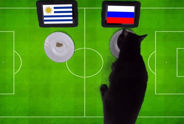 'Tiên tri' mèo đen dự đoán Nga sẽ đả bại Uruguay