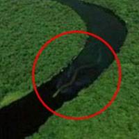 Rắn khổng lồ có 7 lỗ mũi ở Malaysia