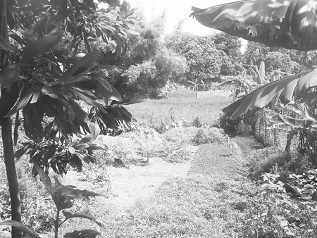 Rộ tin đồn ngôi nhà 4 đời ma ám ở Hòa Bình